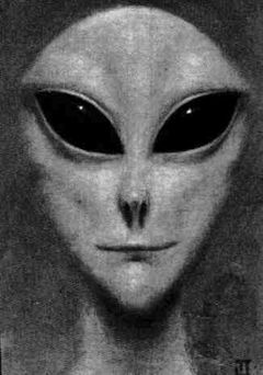 Immagine profilo di alienodimarte